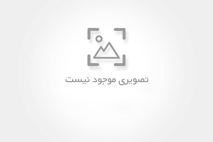 تامین حلال 402