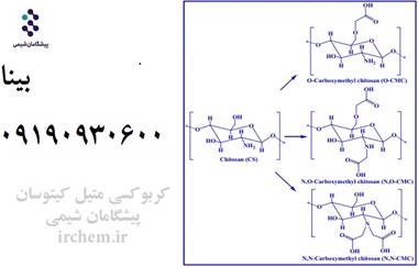 فروش کربوکسی متیل کیتوسان