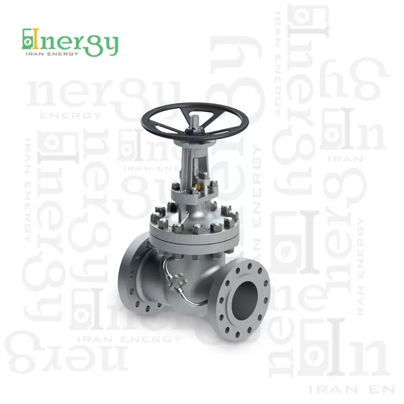 شیر دروازه ای پترول ولو / PETROLVALVES Gate Valve