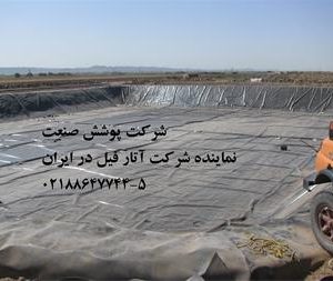 استخر پرورش میگو