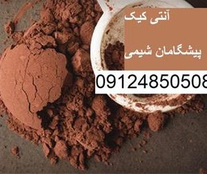 فروشنده آنتی کیک خوراکی