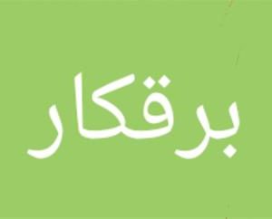 برقکار ساختمان و صنعتی