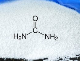 Production Process of Urea