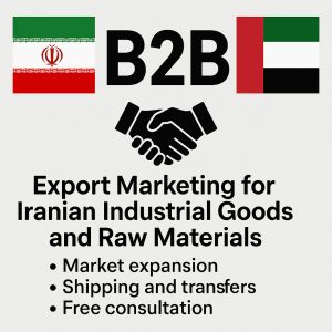 Transforming Export Marketing in the Global Marketplace